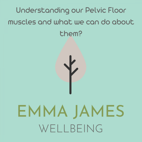 Function Pelvic Floor Muscles | How to improve pelvic floor